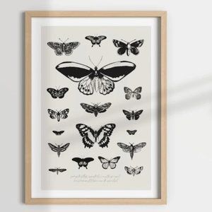 BUTTERFLY TRANSFORMATION, therapy office decor, therapist decor, counselling, me